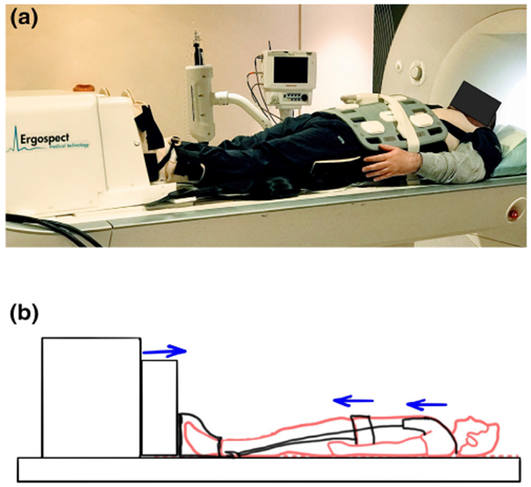 FIGURE 1: