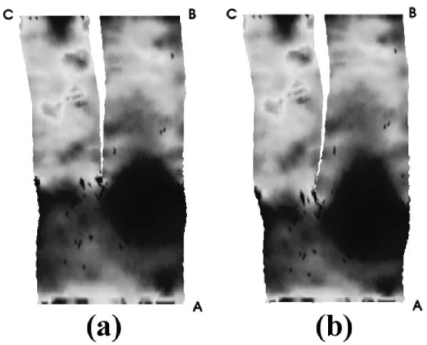 Fig. 11