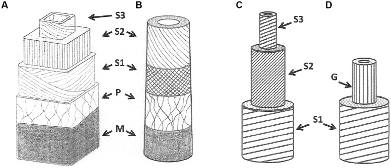 FIGURE 2