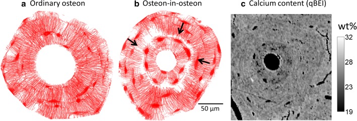 Fig. 2