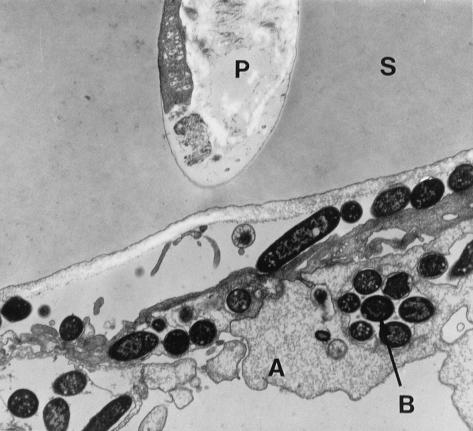 FIG. 8