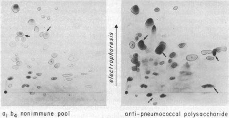 graphic file with name pnas00098-0381-a.jpg