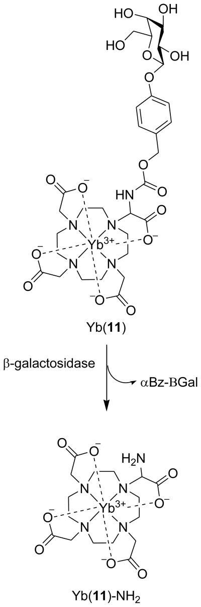 Scheme 3