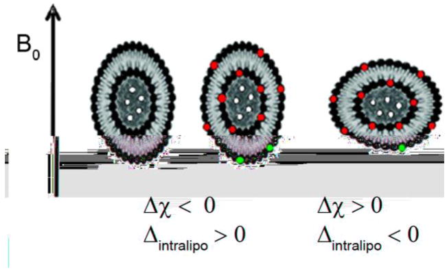 Figure 47