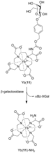 Scheme 3