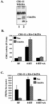 FIG. 8.