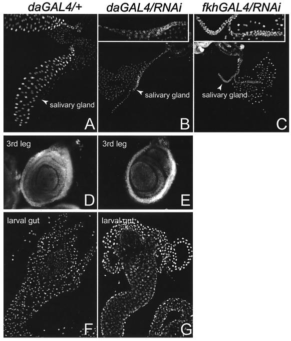 FIG. 8.