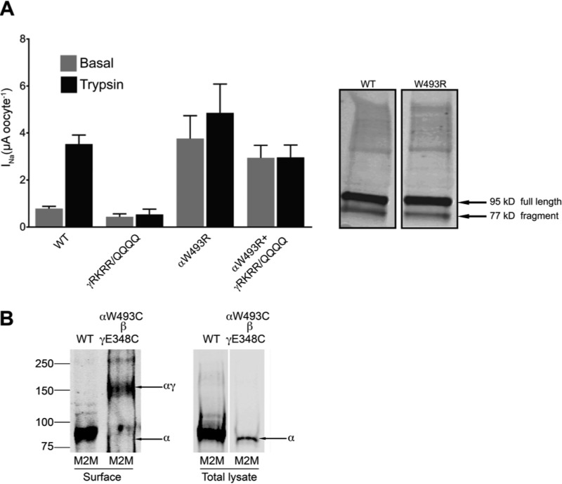 FIGURE 7.