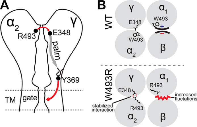 FIGURE 9.