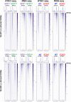 Figure 2—figure supplement 2.