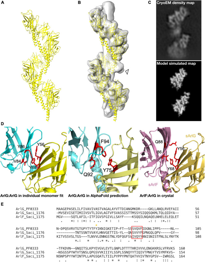 FIGURE 3