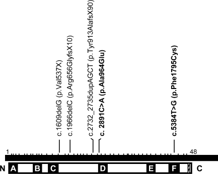 FIG. 1