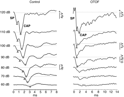 FIG. 3