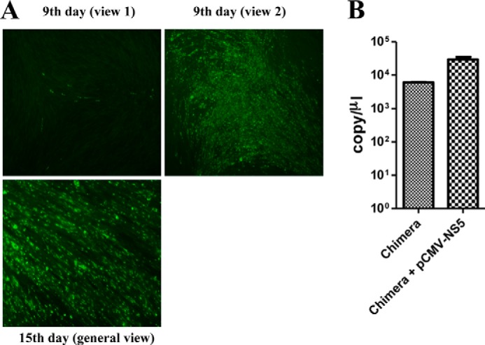 FIGURE 4.