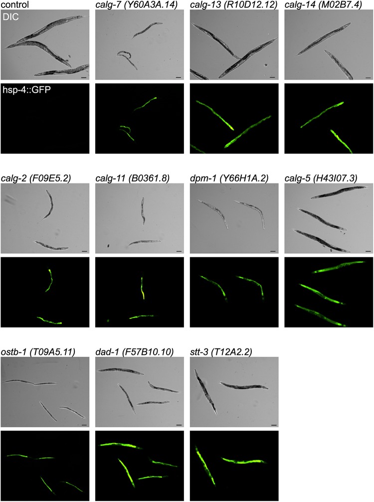 Fig. 5.