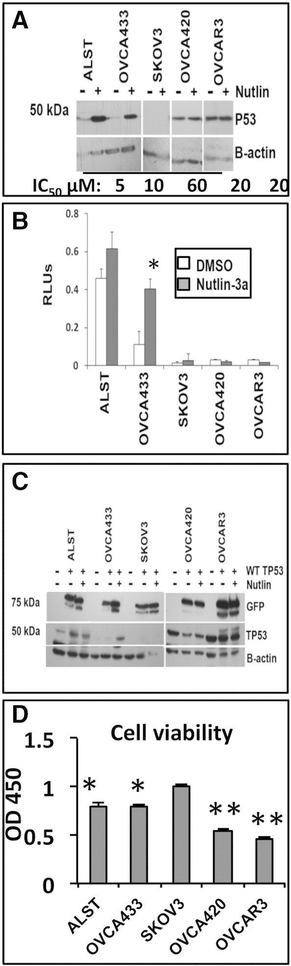 Figure 4