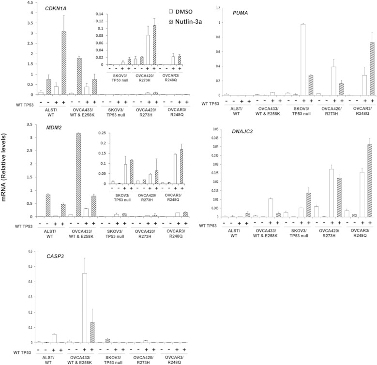 Figure 6