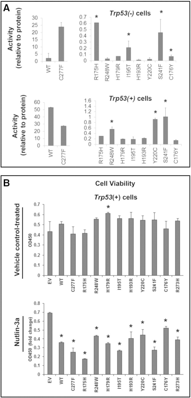 Figure 5