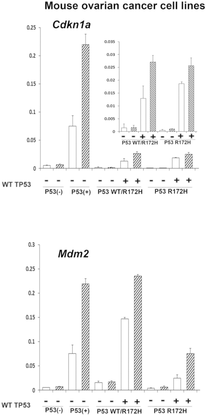 Figure 7