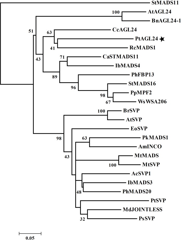 FIGURE 2