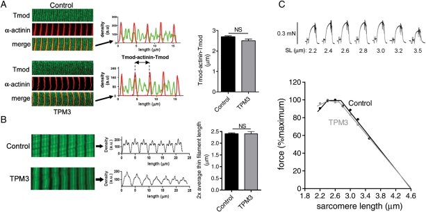 Figure 3.