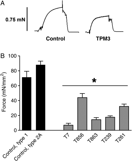 Figure 2.