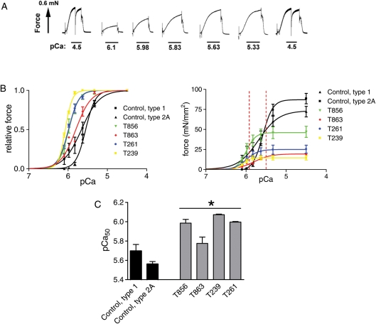 Figure 6.