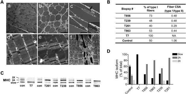 Figure 4.