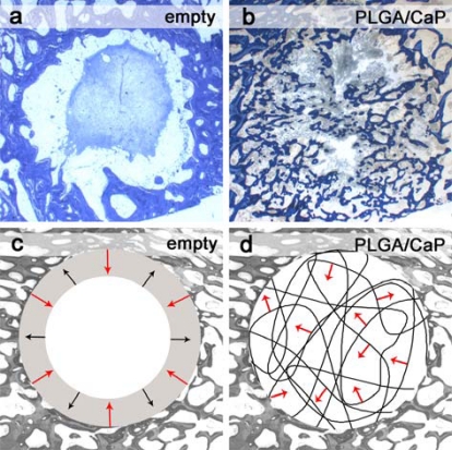 Fig. (6)