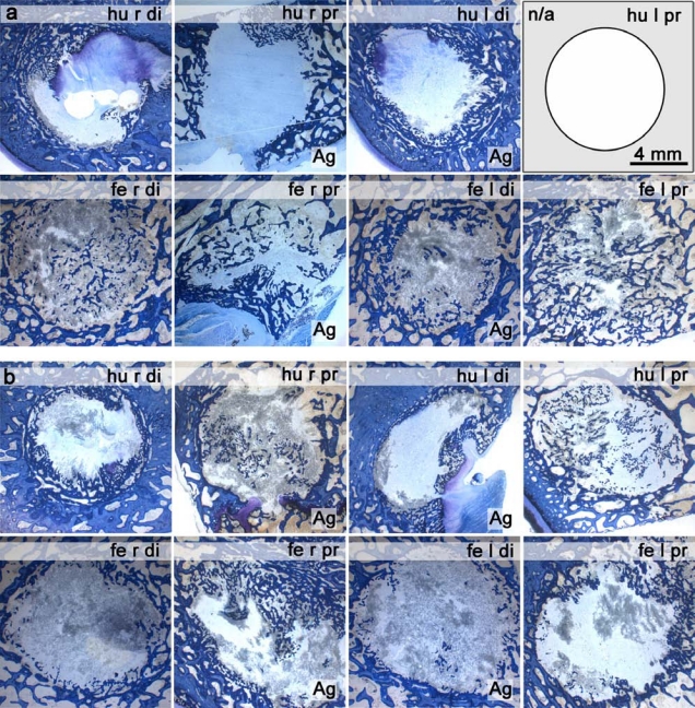 Fig. (3)