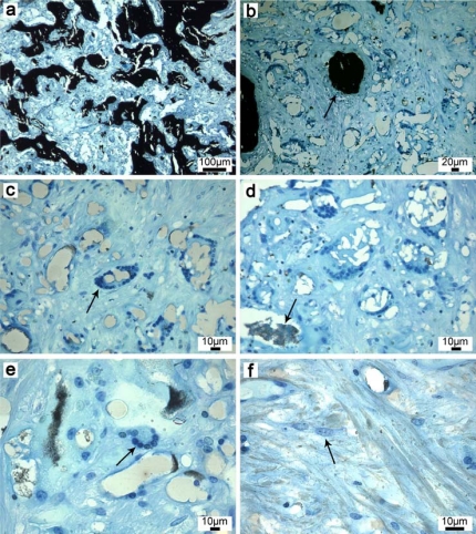 Fig. (5)