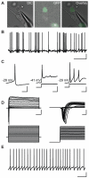 Fig. 7.