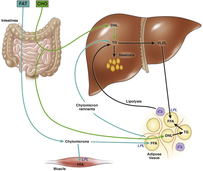 Figure 1