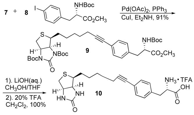 Scheme 2