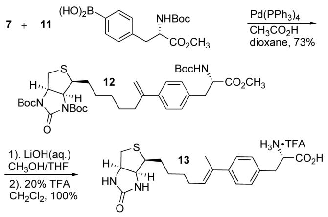 Scheme 3