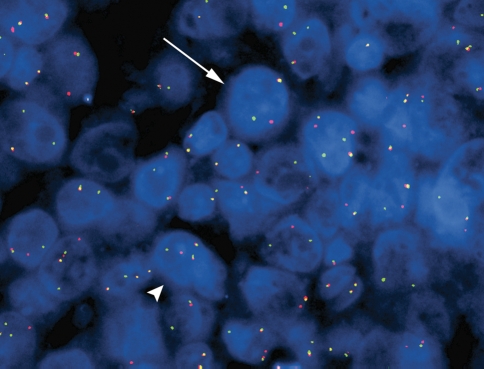 Fig. 3