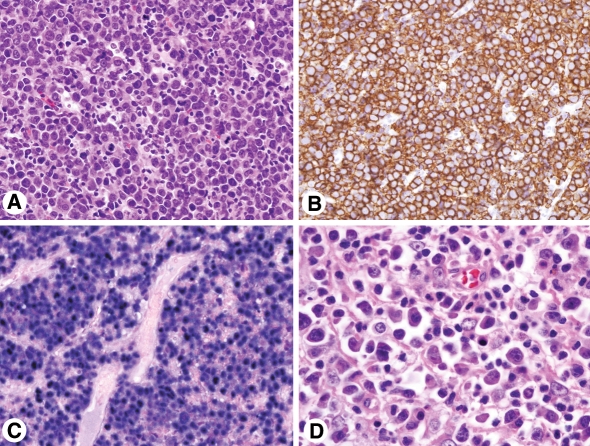 Fig. 2