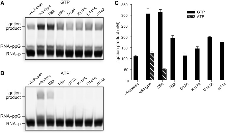 Figure 6.