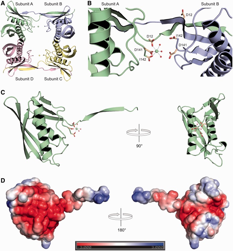 Figure 5.