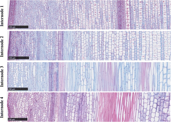 Fig. 2