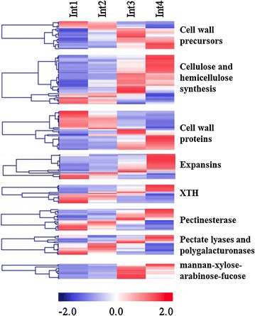 Fig. 6