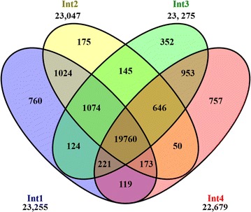 Fig. 3