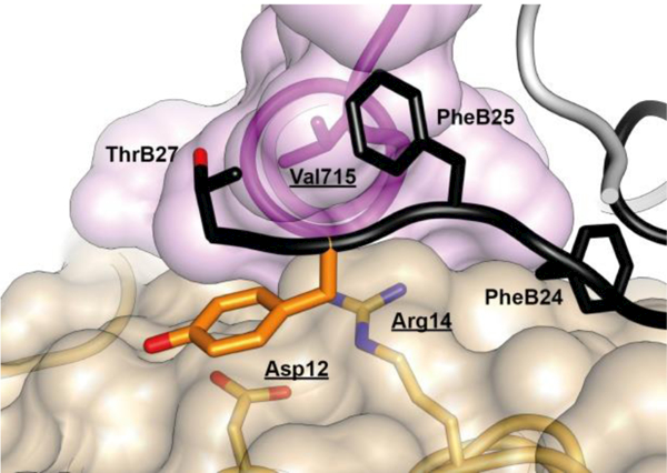 Figure 19.