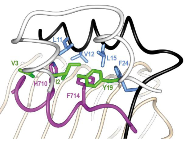 Figure 14.