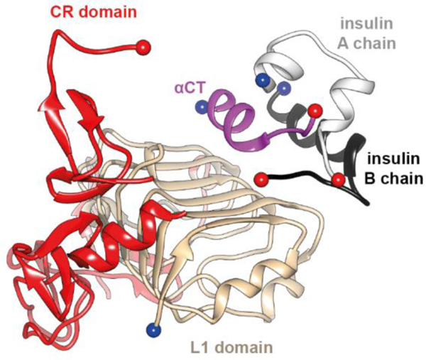 Figure 11.