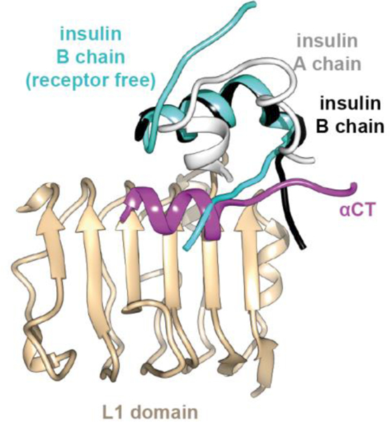 Figure 13.