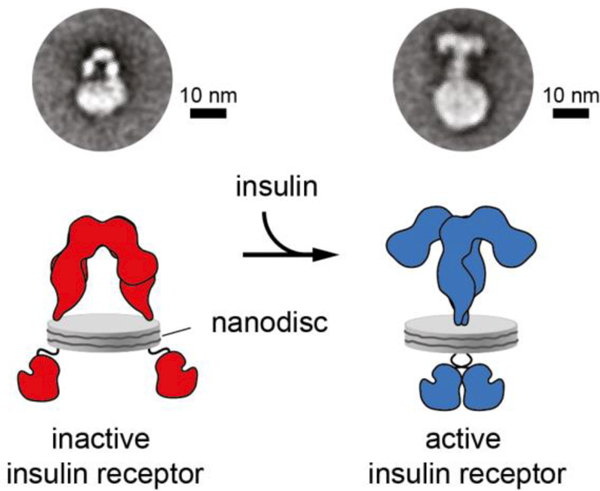 Figure 10.