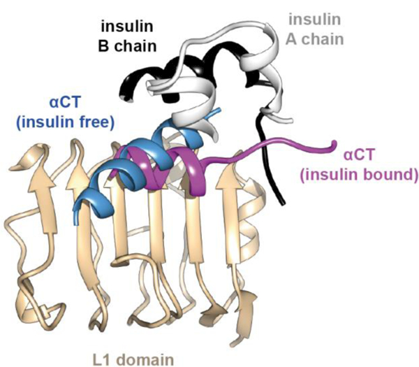 Figure 12.