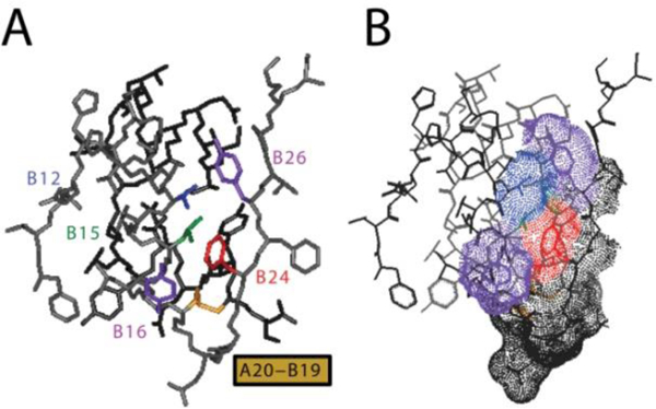 Figure 7.