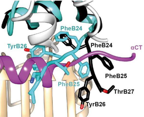 Figure 17.